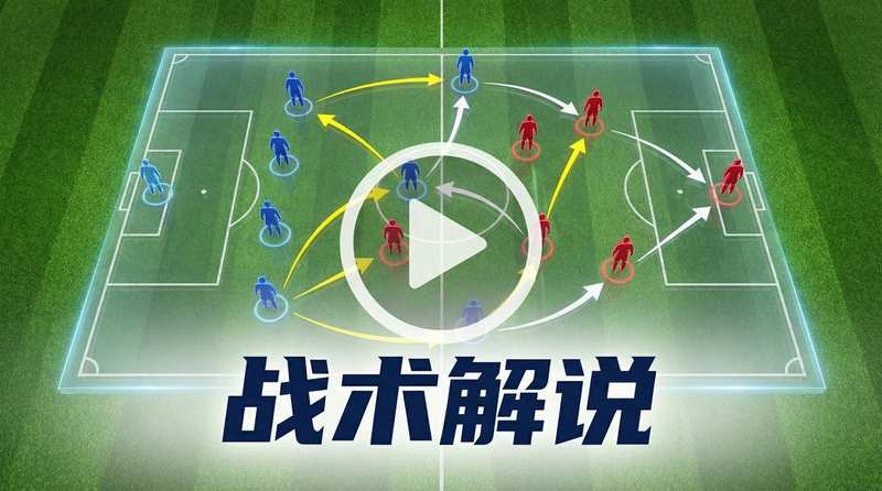 麻豆官网战术解说视频